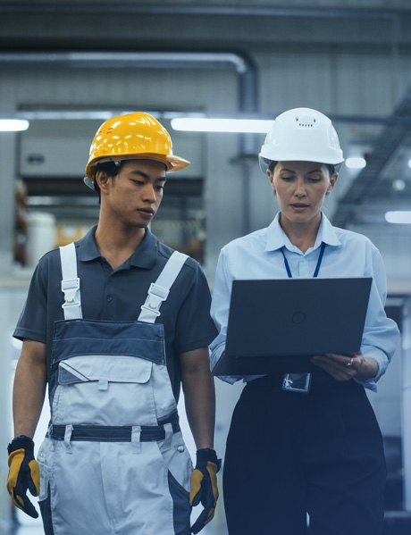 verification audit of employee and third party