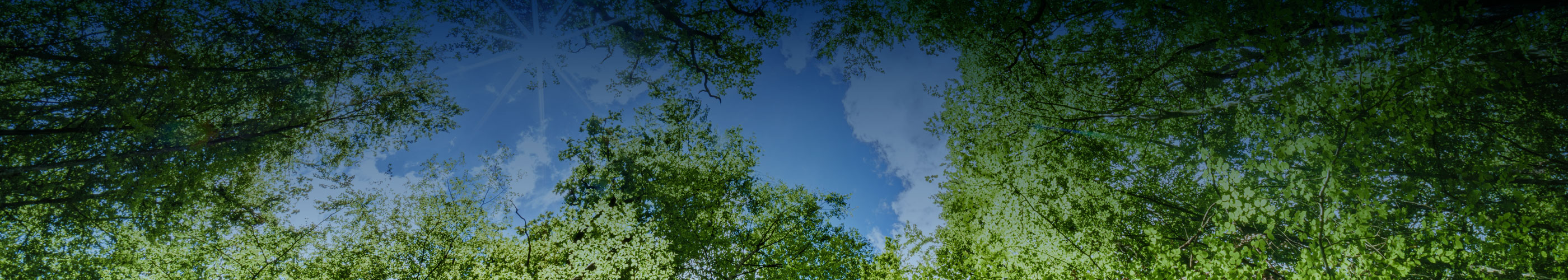 Responsible Environment Initiative